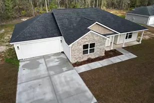 973 Stafford Dairy Road SE, Ludowici, GA 31316 - Photo 1