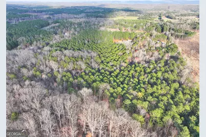 39 Acres On E. Teloga Road, Summerville, GA 30747 - Photo 36