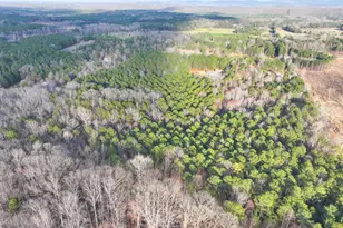 39 Acres On E Teloga Rd, Summerville, GA 30747 - Photo 36