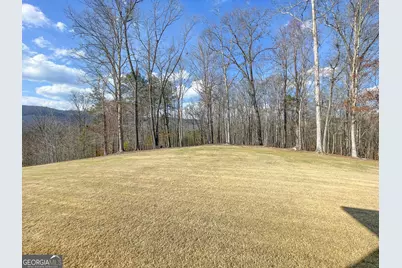 39 Acres On E. Teloga Road, Summerville, GA 30747 - Photo 34