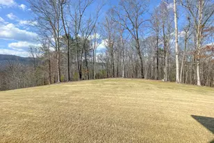 39 Acres On E Teloga Rd, Summerville, GA 30747 - Photo 34