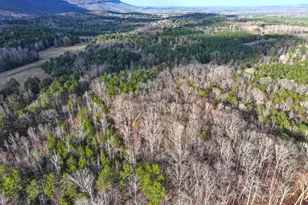 39 Acres On E Teloga Rd, Summerville, GA 30747 - Photo 44