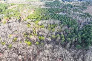 39 Acres On E Teloga Rd, Summerville, GA 30747 - Photo 40