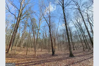 39 Acres On E. Teloga Road, Summerville, GA 30747 - Photo 8