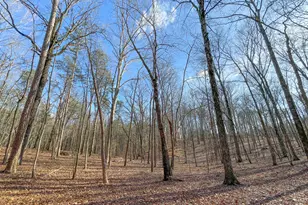 39 Acres On E Teloga Rd, Summerville, GA 30747 - Photo 8