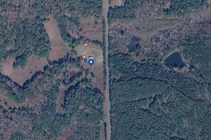 17081 Ga Hwy 85 W, Shiloh, GA 31826 - Photo 52