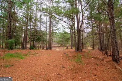 17081 Ga Highway 85 W, Shiloh, GA 31826 - Photo 12