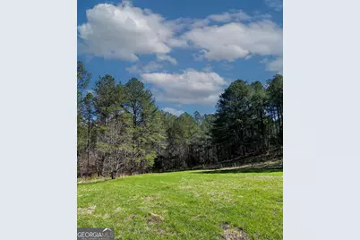 17081 Ga Highway 85 W, Shiloh, GA 31826 - Photo 38