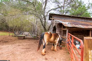 17081 Ga Hwy 85 W, Shiloh, GA 31826 - Photo 26