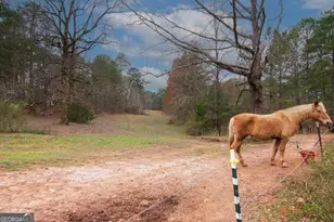 17081 Ga Hwy 85 W, Shiloh, GA 31826 - Photo 22