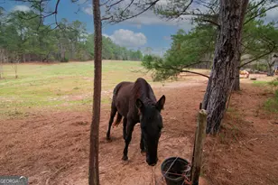 17081 Ga Hwy 85 W, Shiloh, GA 31826 - Photo 24