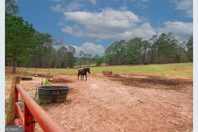 17081 Ga Highway 85 W, Shiloh, GA 31826 - Photo 14