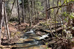 17081 Ga Hwy 85 W, Shiloh, GA 31826 - Photo 46