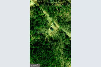 1063 Damascus Road, Ball Ground, GA 30107 - Photo 12