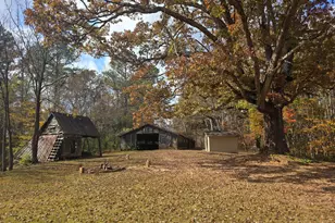 1063 Damascus Rd, Ball Ground, GA 30107 - Photo 4