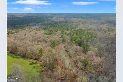 138 Lewis Road, Jackson, GA 30233 - Photo 12