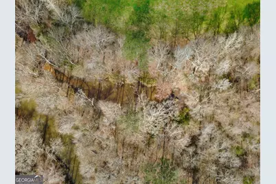 138 Lewis Road, Jackson, GA 30233 - Photo 6