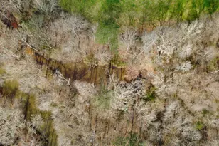 138 Lewis Rd, Jackson, GA 30233 - Photo 6