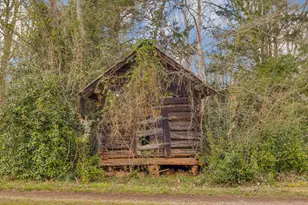 138 Lewis Rd, Jackson, GA 30233 - Photo 20