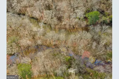 138 Lewis Road, Jackson, GA 30233 - Photo 10