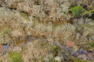 138 Lewis Rd, Jackson, GA 30233 - Photo 10