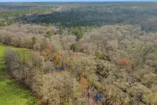 138 Lewis Rd, Jackson, GA 30233 - Photo 14