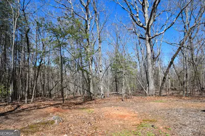 290 Eli Knob Road, Cleveland, GA 30528 - Photo 40