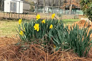 16 Gray Rock Dr NW, Rome, GA 30165 - Photo 26