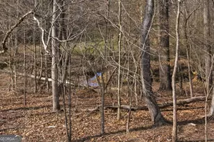 4107 Millstone Pk Ln, Gainesville, GA 30504 - Photo 26