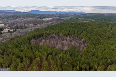 557 Acres On Taliaferro Springs Road, Lyerly, GA 30730 - Photo 4