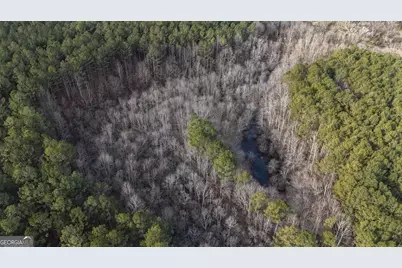 557 Acres On Taliaferro Springs Road, Lyerly, GA 30730 - Photo 12