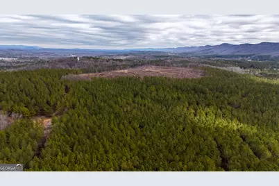 557 Acres On Taliaferro Springs Road, Lyerly, GA 30730 - Photo 6