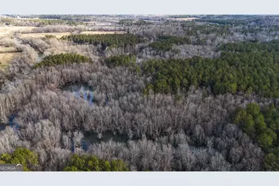 557 Acres On Taliaferro Springs Road, Lyerly, GA 30730 - Photo 14