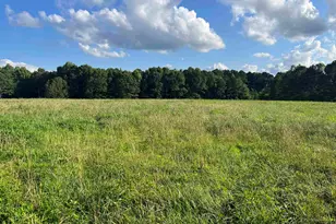 0 Lowell Rd, Carrollton, GA 30116 - Photo 1