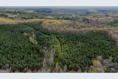 0 Hwy 166 Road, Carrollton, GA 30116 - Photo 6