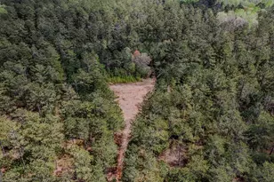 0 Hwy 166 Rd, Carrollton, GA 30116 - Photo 1