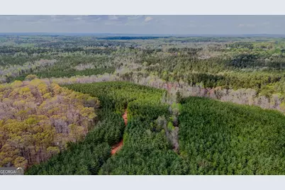 0 Hwy 166 Road, Carrollton, GA 30116 - Photo 10