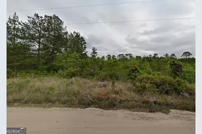 305 Worthington Drive, Ludowici, GA 31316 - Photo 2