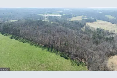 0 Lovvorn Mill Road, Bowdon, GA 30108 - Photo 10