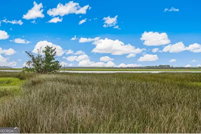 81 Oyster Cove, Saint Marys, GA 31558 - Photo 56