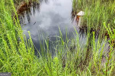 81 Oyster Cove, Saint Marys, GA 31558 - Photo 50