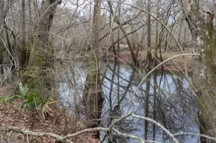 5230 Coleman Bridge Spur, Cobbtown, GA 30420 - Photo 8