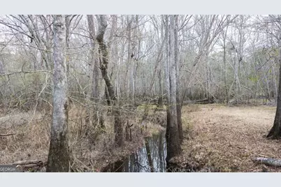 4980 Coleman Bridge Spur Road, Cobbtown, GA 30420 - Photo 10