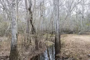 4980 Coleman Bridge Spur, Cobbtown, GA 30420 - Photo 10