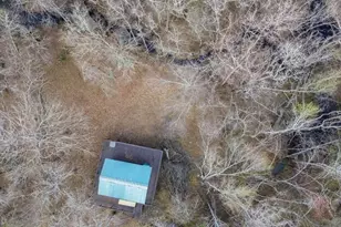 4980 Coleman Bridge Spur, Cobbtown, GA 30420 - Photo 4