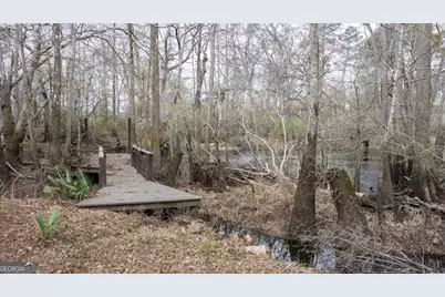 4980 Coleman Bridge Spur Road, Cobbtown, GA 30420 - Photo 8