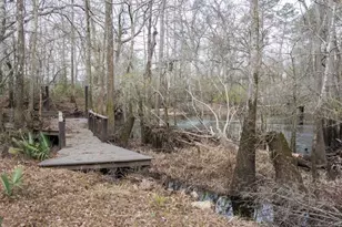 4980 Coleman Bridge Spur, Cobbtown, GA 30420 - Photo 8