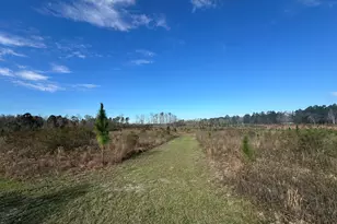 1334 Shady Ln, Sylvania, GA 30467 - Photo 1