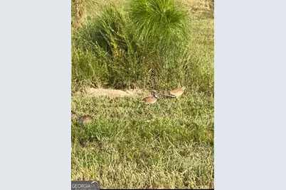 1334 Shady Lane, Sylvania, GA 30467 - Photo 34