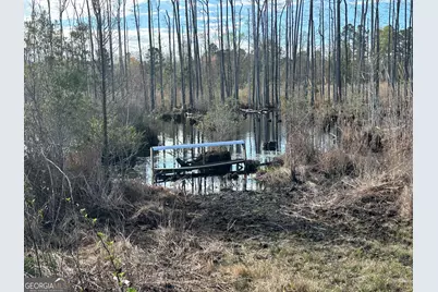 1334 Shady Lane, Sylvania, GA 30467 - Photo 22